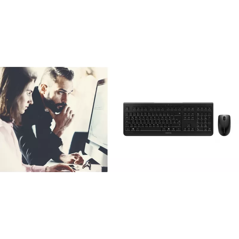 CHERRY DW 3000 keyboard Mouse included Universal RF Wireless QWERTZ German Grey