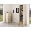 Topeshop R50 SONOMA office bookcase