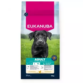 Dry Dog Food EUKANUBA Adult Large Chicken 15 kg — adult large-breed complete dry food, chicken, 15 kg