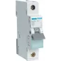Hager MBN150. Number of Poles: 1P. AC Input Frequency: 50/60 Hz, Nominal Current Output: 50 A (MBN150)