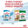 Dry dog food Royal Canin Mini Puppy 2 kg — small breeds, chicken, 31% protein