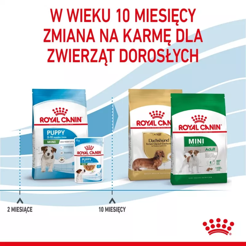 Dry dog food Royal Canin Mini Puppy 2 kg — small breeds, chicken, 31% protein