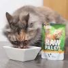 Wet cat food VETEXPERT Raw Paleo Adult Cat Turkey 100 g — grain-free, 10.3% protein, 5.3% fat, 79% moisture