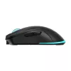 Mouse Baracuda BGM-121 Turtle Black USB