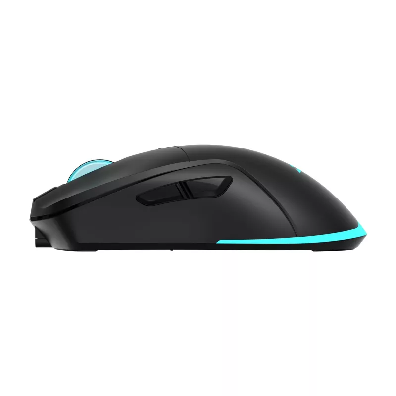 Mouse Baracuda BGM-121 Turtle Black USB