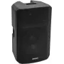 2-way loudspeaker Omnitronic VFM-215 MK2 200W RMS 8 Ω