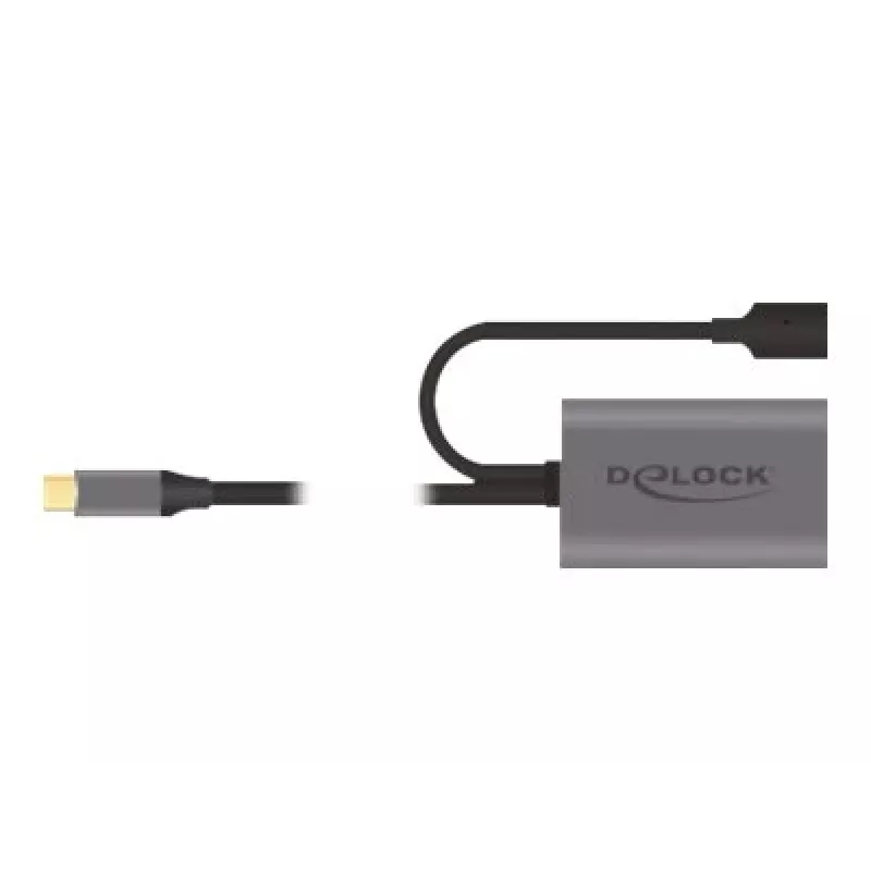 Delock USB-20225 Power Adapter Grey