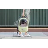 Pet Travel Backpack PetKit Breezy 2 (Green)