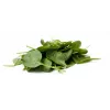 New Zealand Spinach Toraf Vegetable Seeds, 5g Package