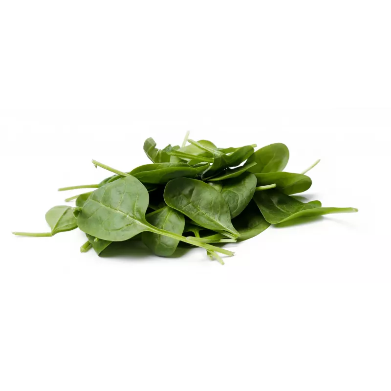 New Zealand Spinach Toraf Vegetable Seeds, 5g Package