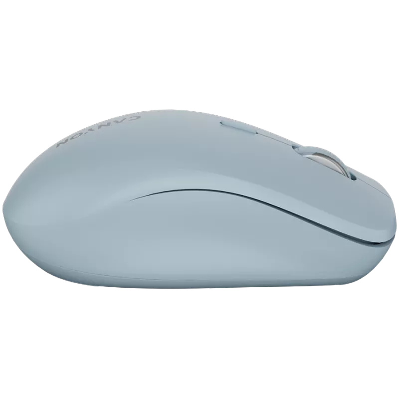 CANYON Mouse MW-12 Dual band Wireless Blue (CNS-CMSW12BL)
