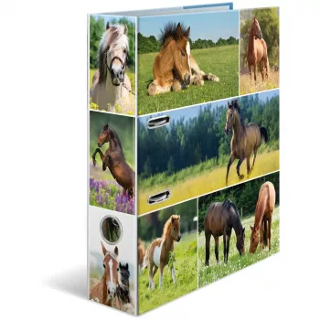 Ring Binder HERMA 19251 A4 Multicolour D-ring Storage 285x315mm