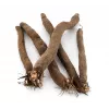 Black Salsify Duplex Toraf Vegetable Seeds, 2g Pack