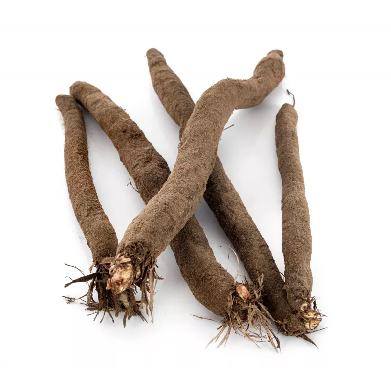 Black Salsify Duplex Toraf Vegetable Seeds, 2g Pack