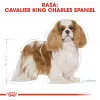 Dry Dog Food Royal Canin Cavalier King Charles Adult 1.5 kg — Chicken, Small Breed, Skin & Coat, Cardiac Support