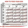 Canned veterinary diet Royal Canin Gastro Intestinal 200 g — adult dogs, poultry, digestive support