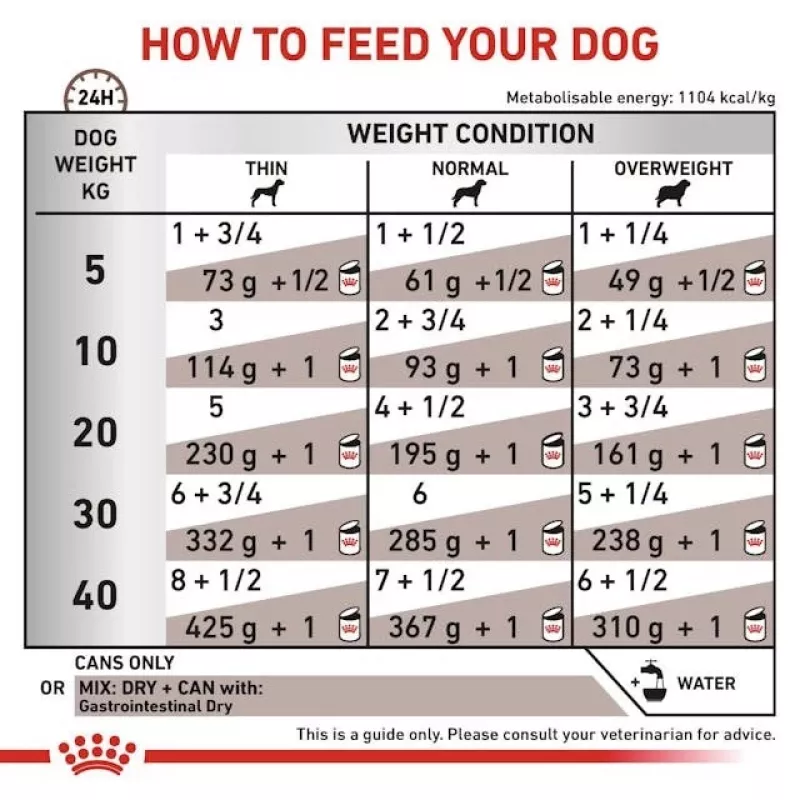 Canned veterinary diet Royal Canin Gastro Intestinal 200 g — adult dogs, poultry, digestive support