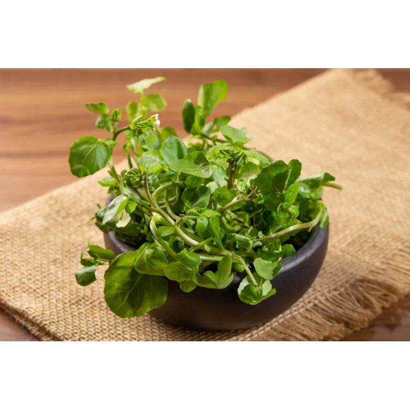 Watercress Toraf Vegetable Seeds, 0.2g Package