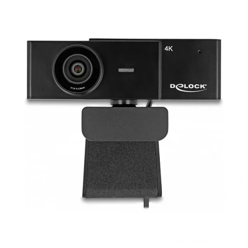 Webcam DeLOCK 96400 8 MP 3840 x 2160 pixels USB 2.0 Black