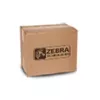 Zebra P1046696-099 print head