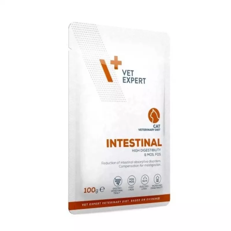 VetExpert Veterinary Diet Intestinal Cat wet cat food 100 g