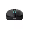 Mouse Baracuda BGM-121 Turtle Black USB