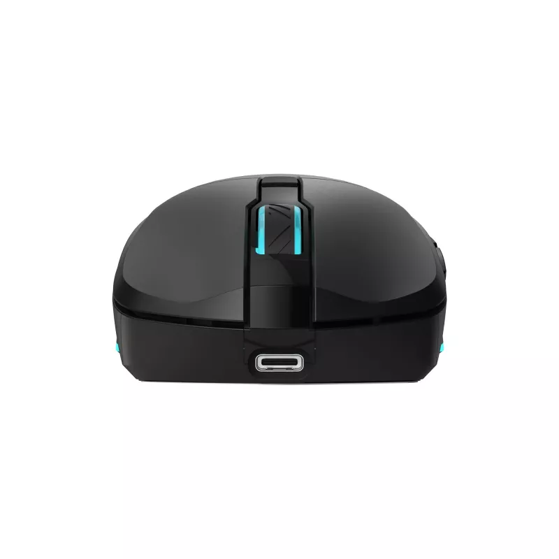 Mouse Baracuda BGM-121 Turtle Black USB
