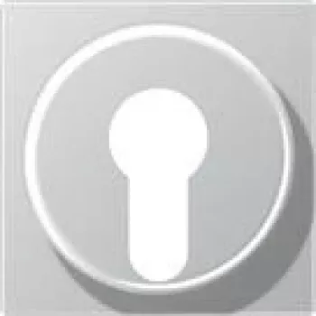 Jung Cover Plate alu for Key Switch A 528 PL AL (A528PLAL)