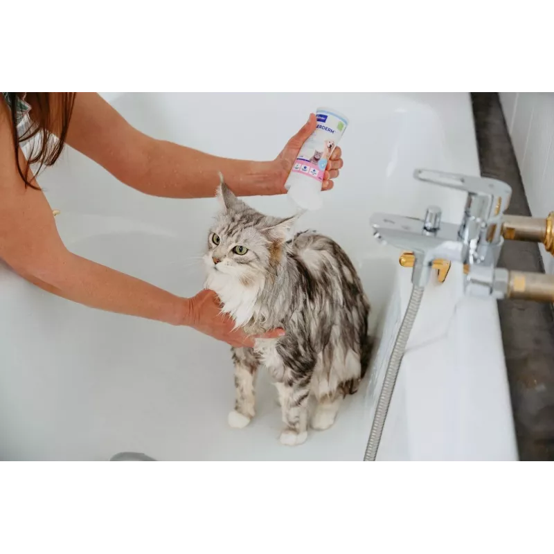 VIRBAC AllerDerm shampoo for sensitive skin of dogs and cats 250 ml