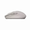 Canyon Mouse MW-12 Dual band Wireless Beige - Mouse - 2.400 dpi (CNS-CMSW12BG)
