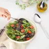 Serving Spoon Set Salter BW09649 — 2-piece stainless steel, dishwasher safe