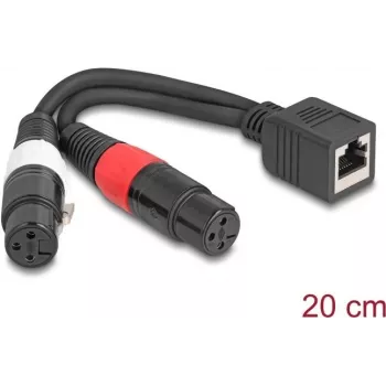 DeLOCK 88178 audio cable 0.2 m RJ-45 2 x XLR (3-pin) Black