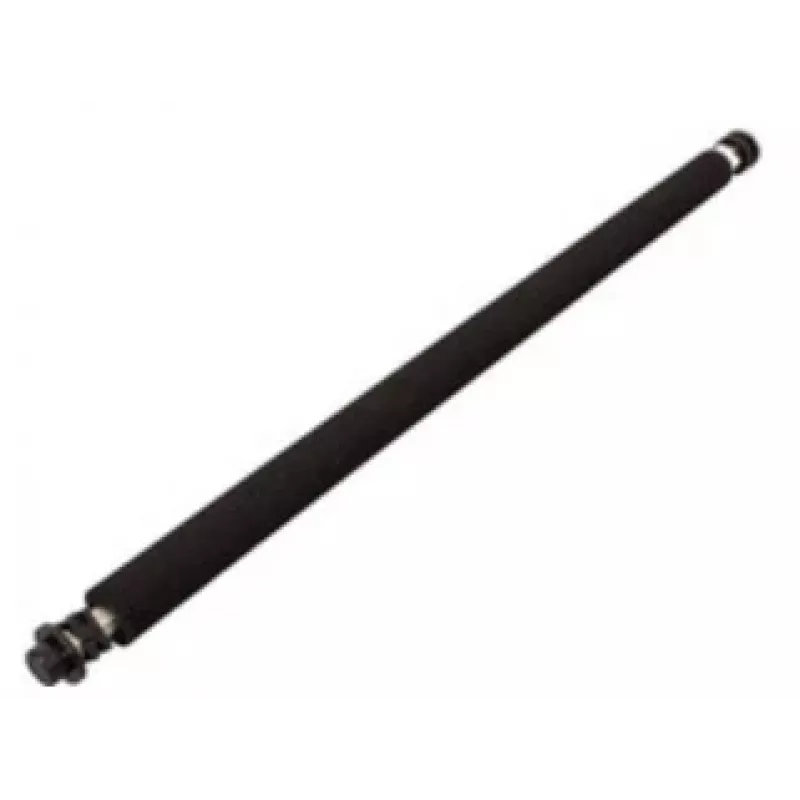 Ricoh B0393820 printer/scanner spare part/accessory Roller