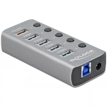 Delock DELOCK-63262 Grey