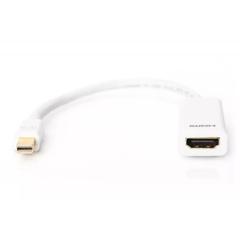 DisplayPort Adapter Digitus AK-340404-001-W