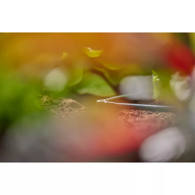 Joint connector Gardena L-Joint Drip irrigation system Plastic