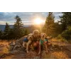 Ruffwear Front Range XS Blue Polyester