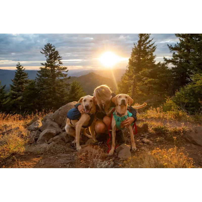 Ruffwear Front Range XS Blue Polyester