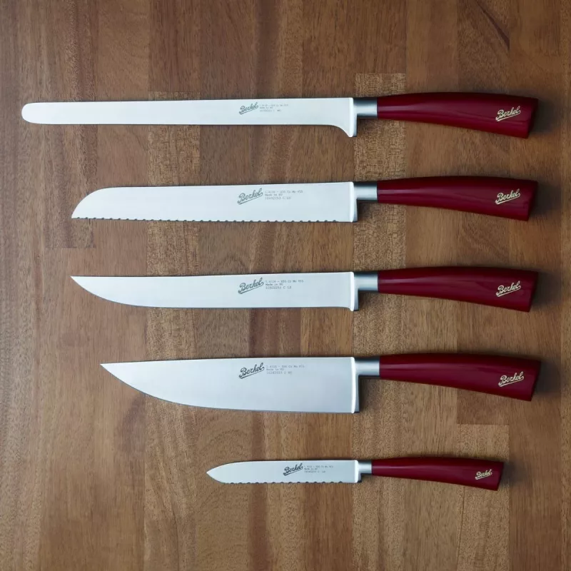 Kitchen Knife Berkel ELEGANCE Stainless Steel 5 pcs