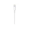 Cable Apple USB-C to Lightning Cable (1m)