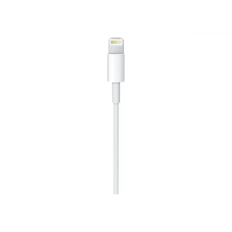Cable Apple USB-C to Lightning Cable (1m)