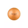 ABS rehabilitation ball 25 cm with pump