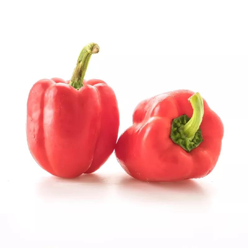 Seed mix Seklos LT PNOS — Sweet Pepper seeds, packet 0.6 g