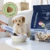 ADDVENA Power of Nature Junior Small Lamb - dry dog food - 2,5kg