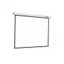 Reflecta CrystalLine Rollo projection screen 1:1 196x196 cm