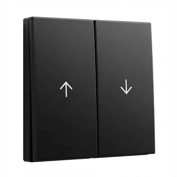 Rockers 2-gang with arrows Gira System 55, model 3294005, black