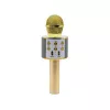 Microphone MANTA MIC10-G Gold cardioid portable — cardioid condenser, handheld design