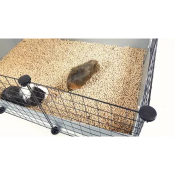 Cage C&C modular cage 5x2 silver 180x75x37 cm for pig rabbit hedgehog, c&c