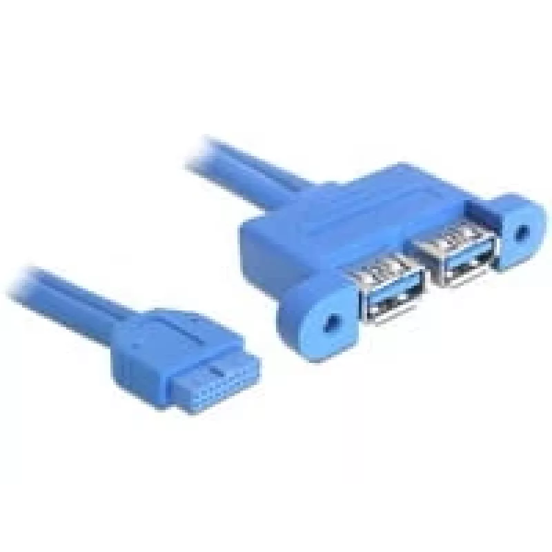 USB Cable DeLOCK 82941 USB 3.2 Gen 1 0.45 m 2 x USB A Blue