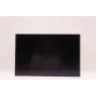 Laptop LCD display panel Lenovo 16.0 inch WUXGA IPS AG by AUO, replacement screen for compatible Lenovo models